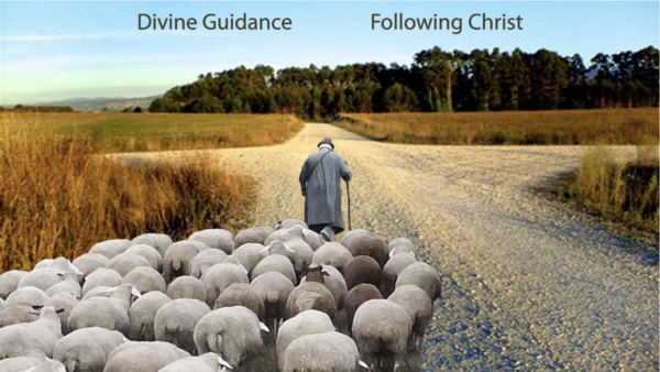 Nature of Guidance Image