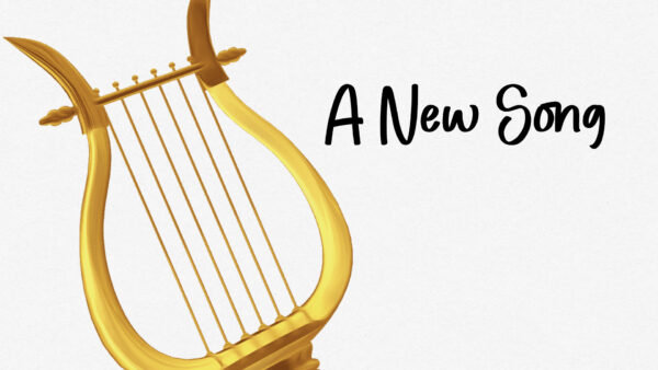 The Words of the Lord Are Flawless Image