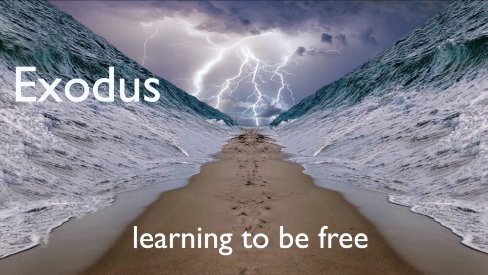 Exodus - Learning to Be Free